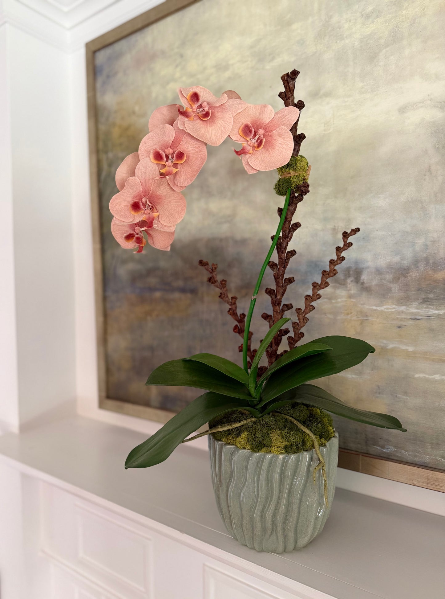 Salmon Phalaenopsis Orchid