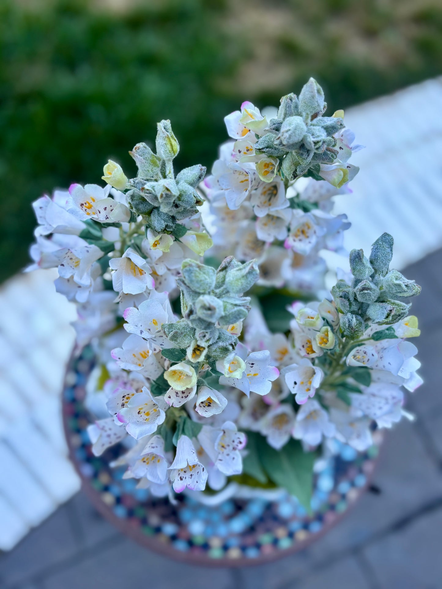 The Foxglove Statement
