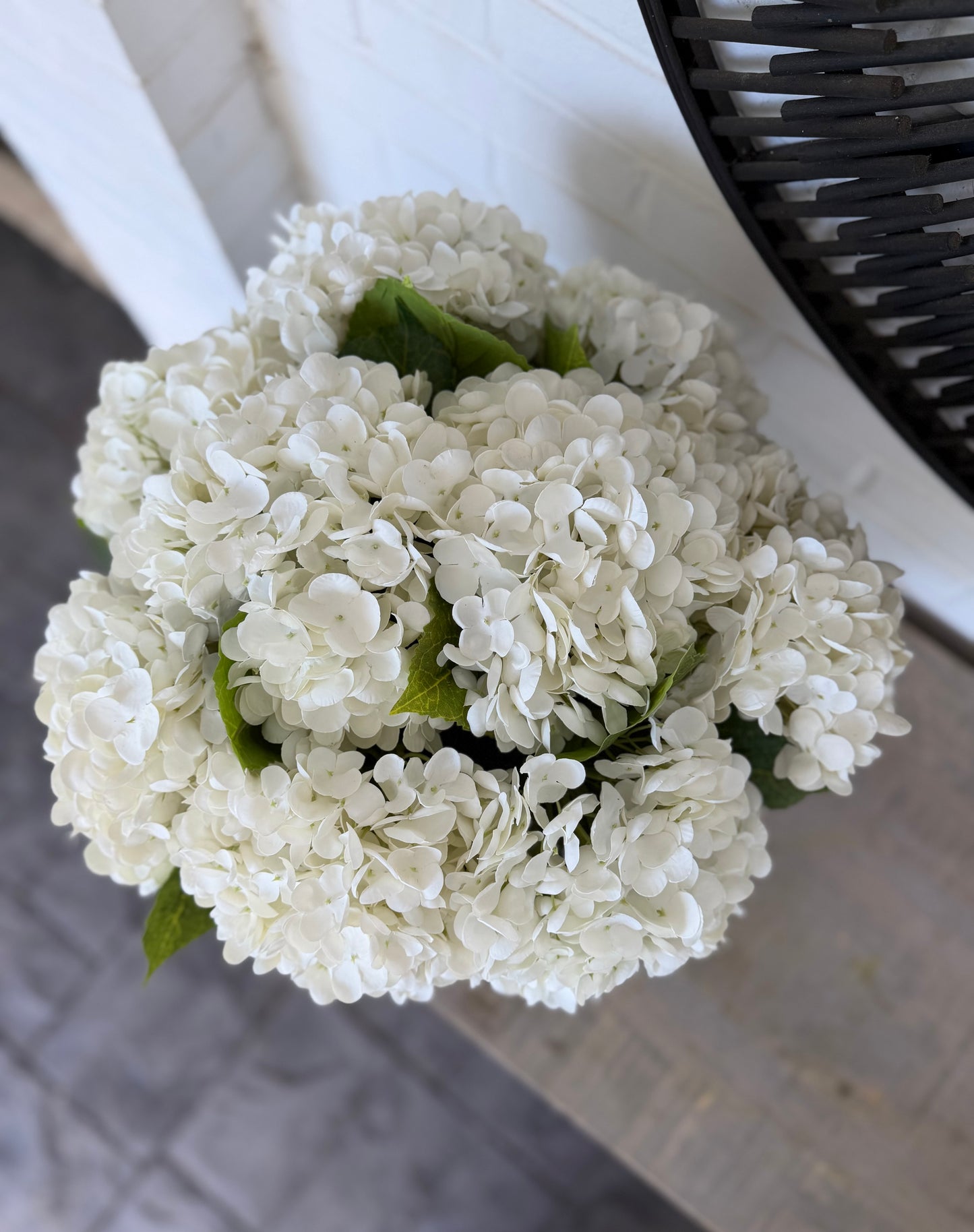 Hydrangeas in Blue & White