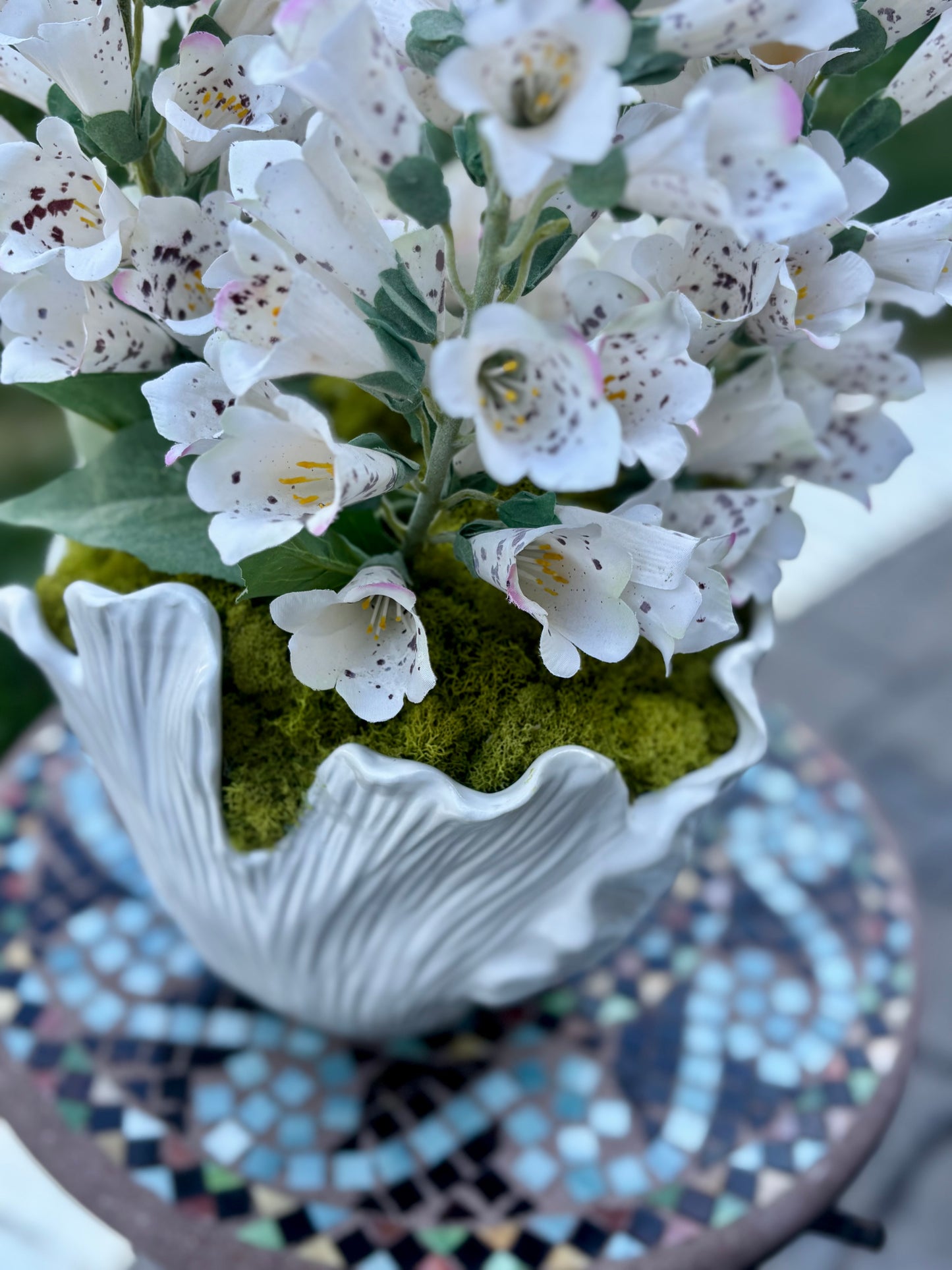 The Foxglove Statement